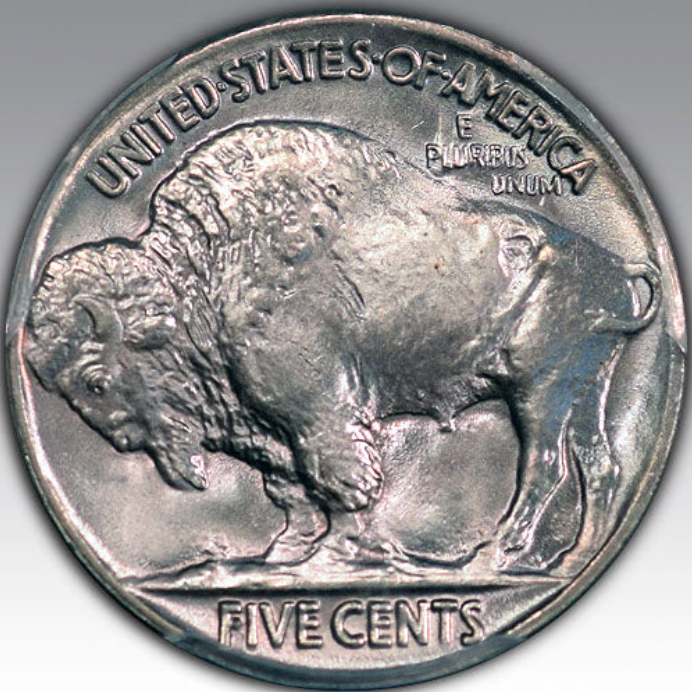 1919 5C Buffalo Nickel MS 67