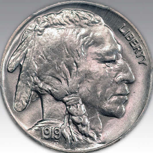 1919 5C Buffalo Nickel MS 67
