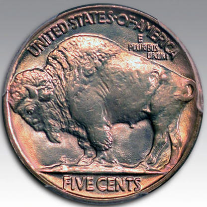 1929 5C Buffalo Nickel MS 67